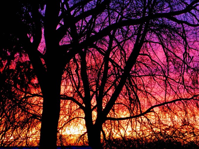 2017-01-09-003-sunrise-small-file